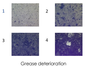 著細鐵和磁性磨損顆粒的增加，回轉軸承的惡化，第四張圖像顯示潤滑脂完全干燥