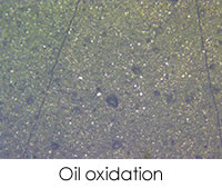 在再潤滑量和/或頻率不足是通過過早的油氧化、摩擦聚合物、粘性磨損碎片、回火顆粒和黑色氧化鐵顆粒來診斷或確認的